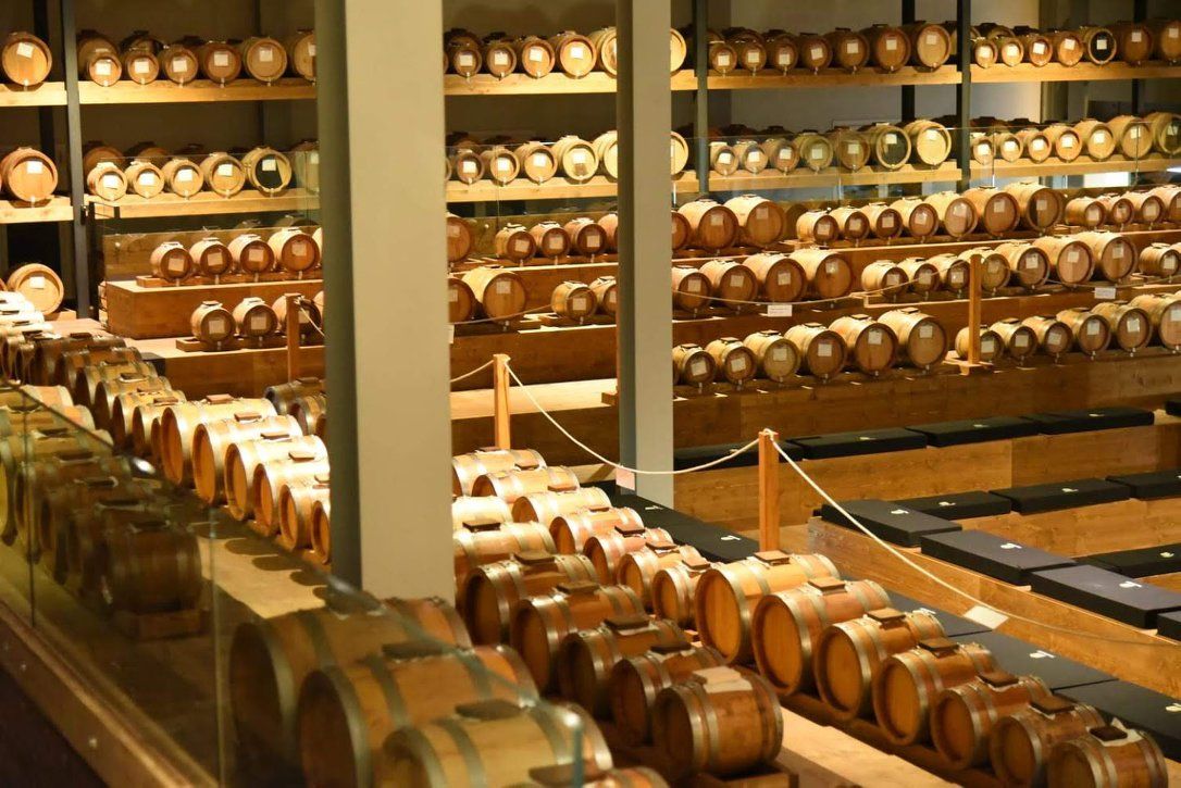 Promovarea produselor locale, ambalajele sustenabile și cooperarea intra-sectorială - factori de succes ai lanțului alimentar din regiunea Emilia-Romagna