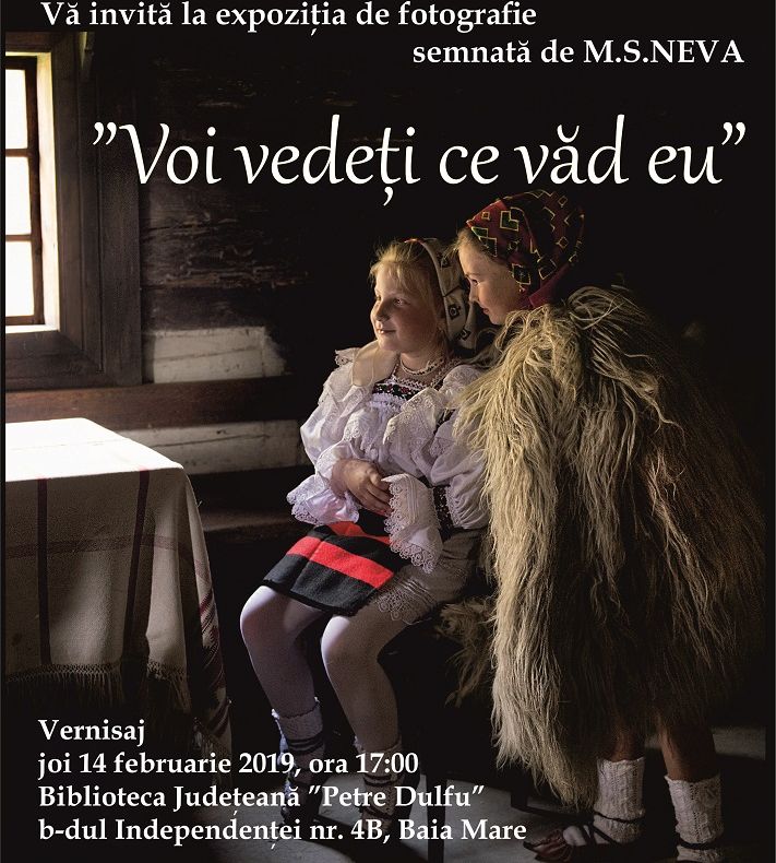 Agenda evenimentelor culturale din săptămâna 11 – 16 februarie, la Biblioteca Județeană ”Petre Dulfu”