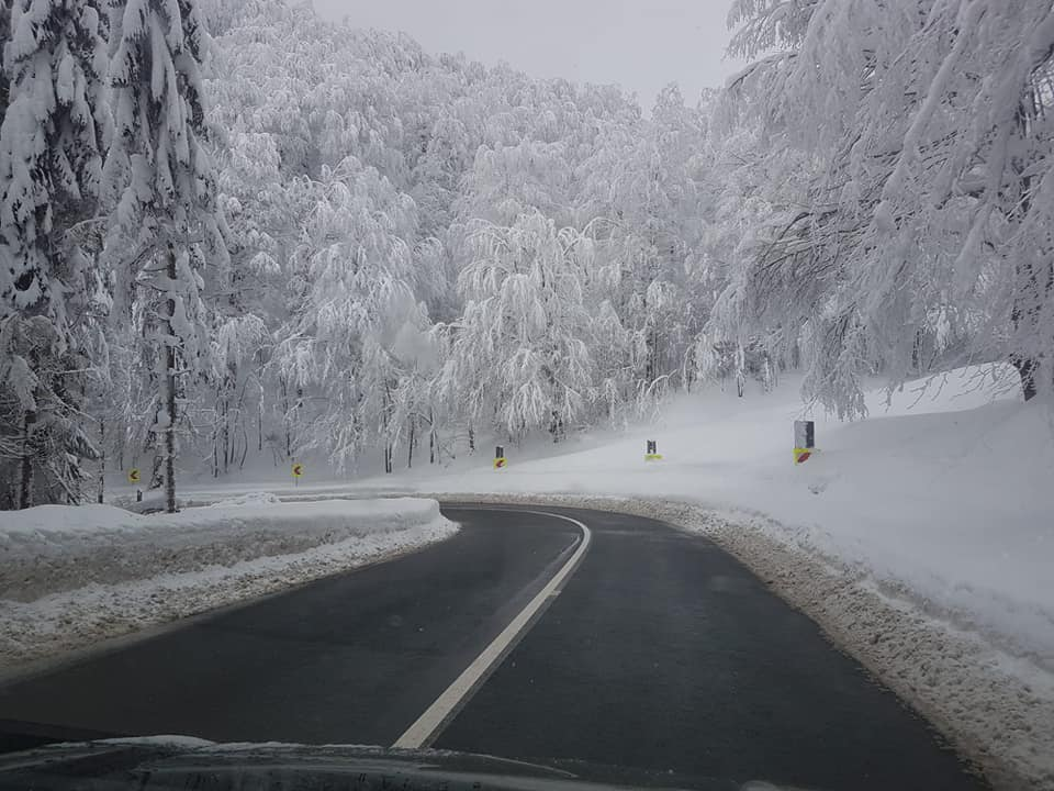 Vizibilitate redusă de ceață în Maramureș