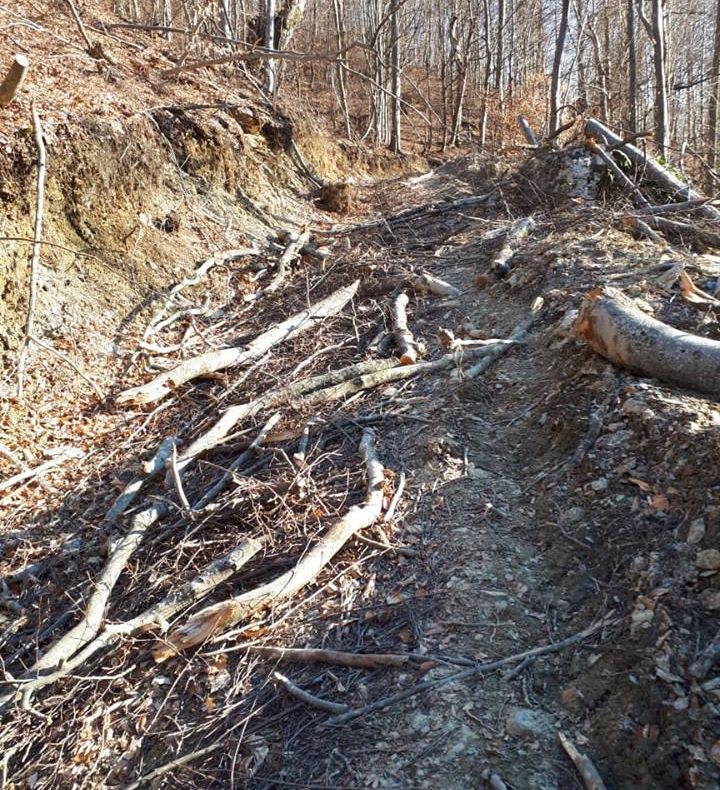 Elevii din Budești au confecționat mărțișoare tradiționale