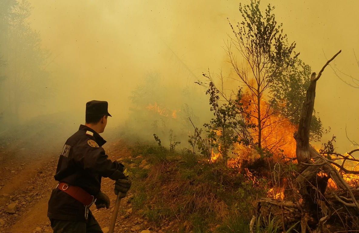 Atenție la vegetația uscată! Reomandările pompierilor pentru prevenirea incendiilor