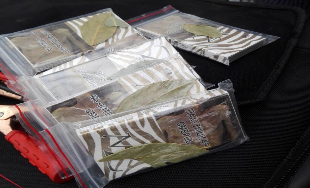 Țigări de provenienţă ucraineană, disimulate printre frunze de dafin