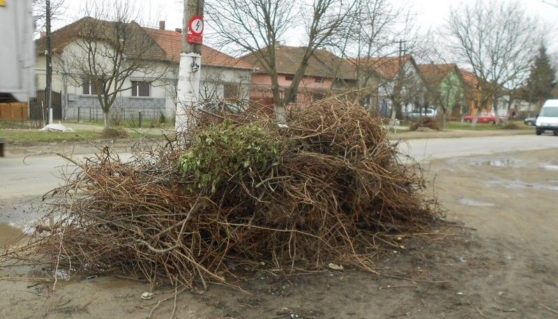 Unde depozităm gunoaiele după curățenia de primăvară