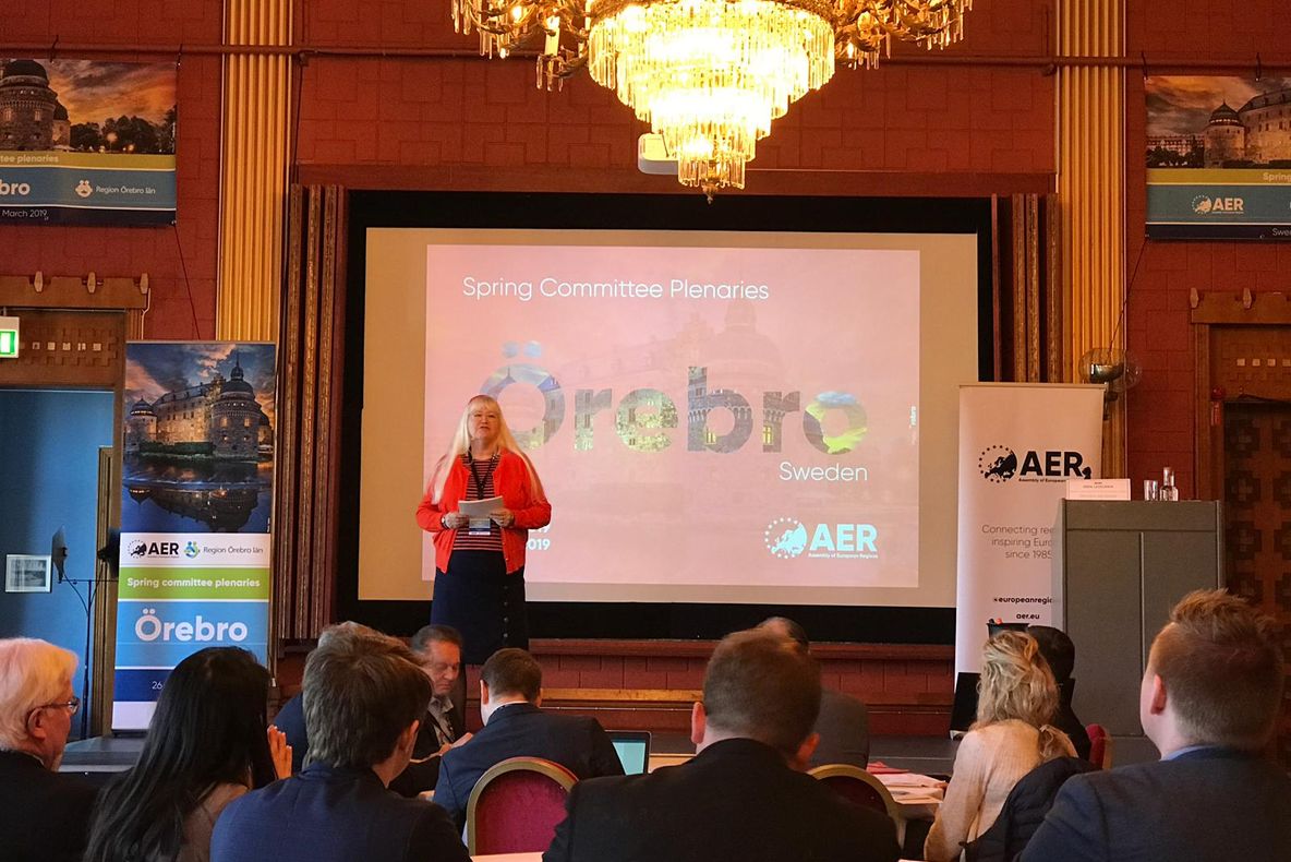 Maramureșul reprezentat la Adunarea Regiunilor Europei, în Suedia