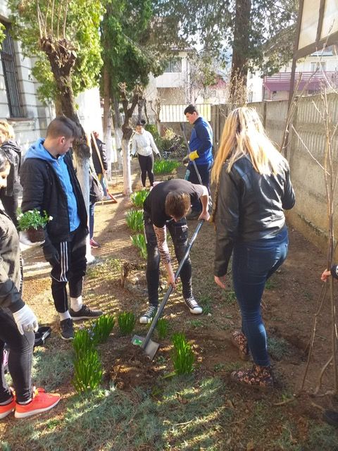 Inițiativă lăudabilă! De la cursuri, la plantat de copaci