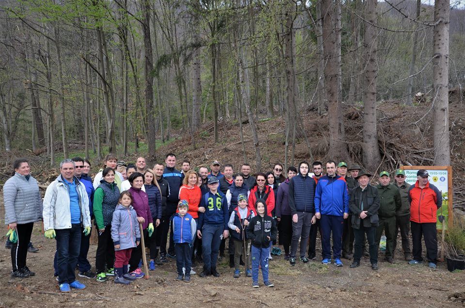 Acțiune de împădurire și plantare de puieți în zona Ocolului Silvic Baia Sprie