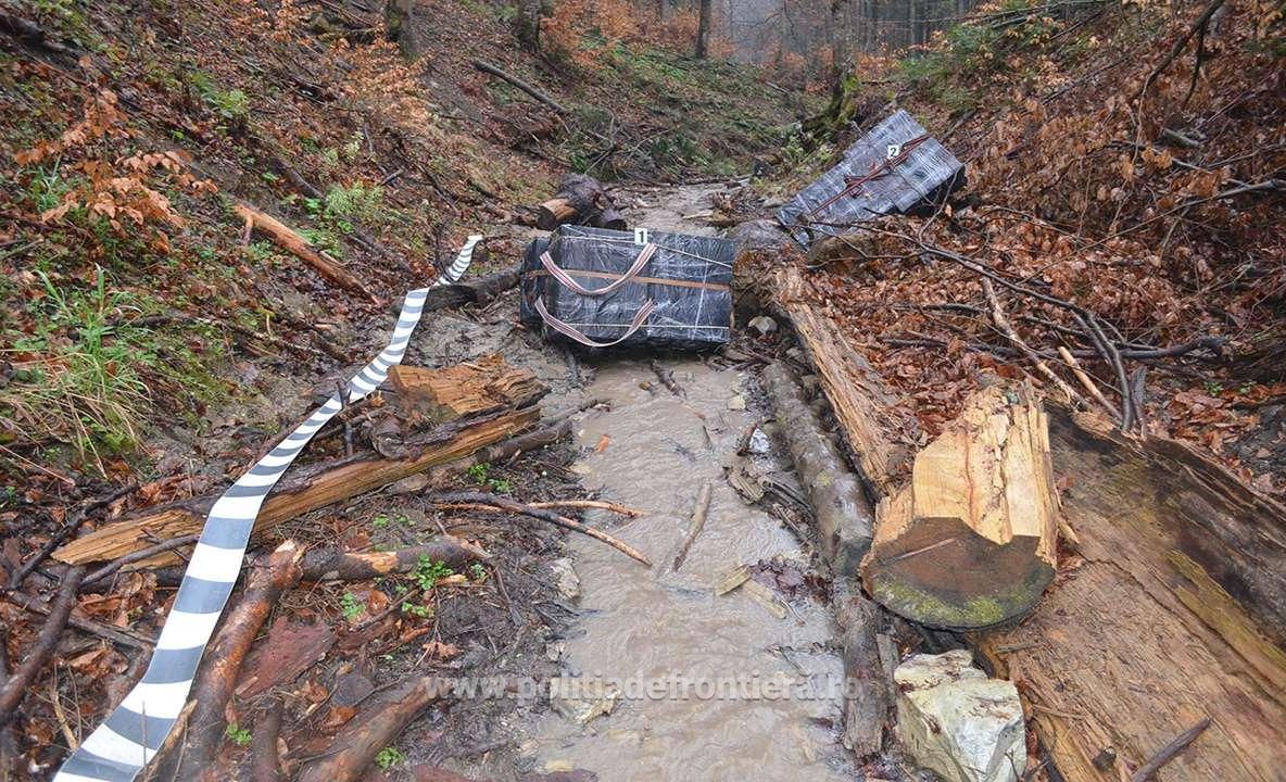 Peste 48.000 de pachete cu ţigări confiscate la frontiera de nord a României