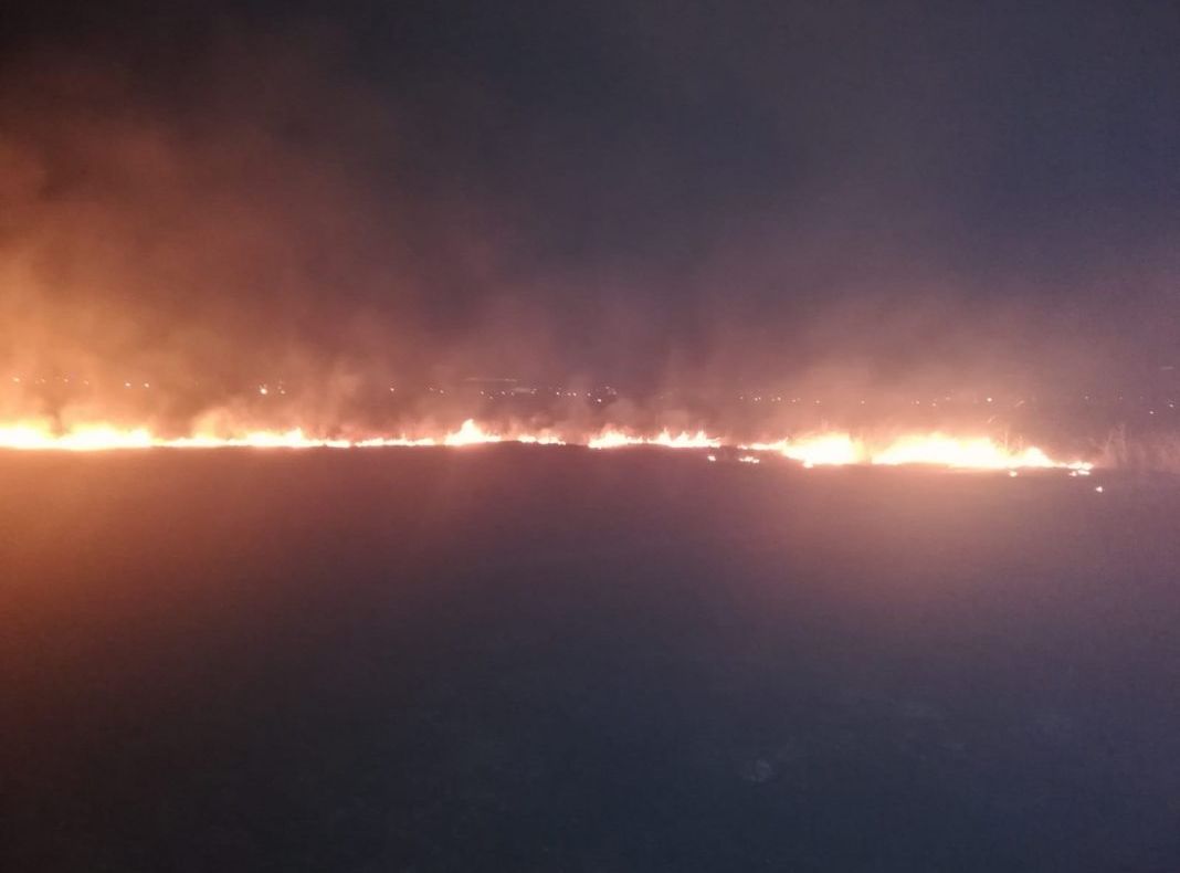 Doi morţi într-un incendiu de vegetaţie