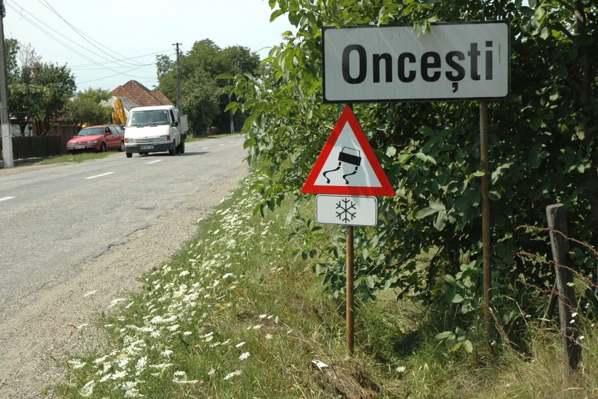 MARAMUREȘ: Dosarul “pesta porcină” a ajuns la faza de trimitere în judecată