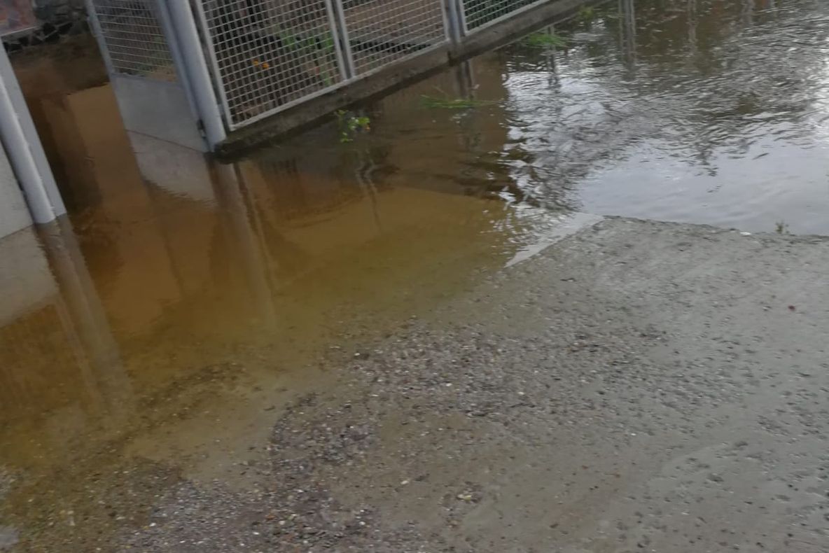 Inundații în Maramureș