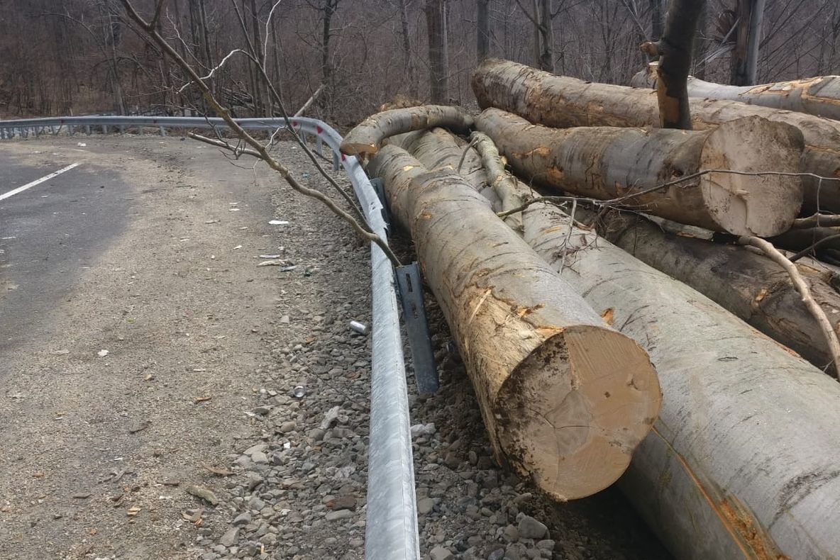 Modul cum se desfășoară transportul masei lemnoase, în atenția factorilor responsabili