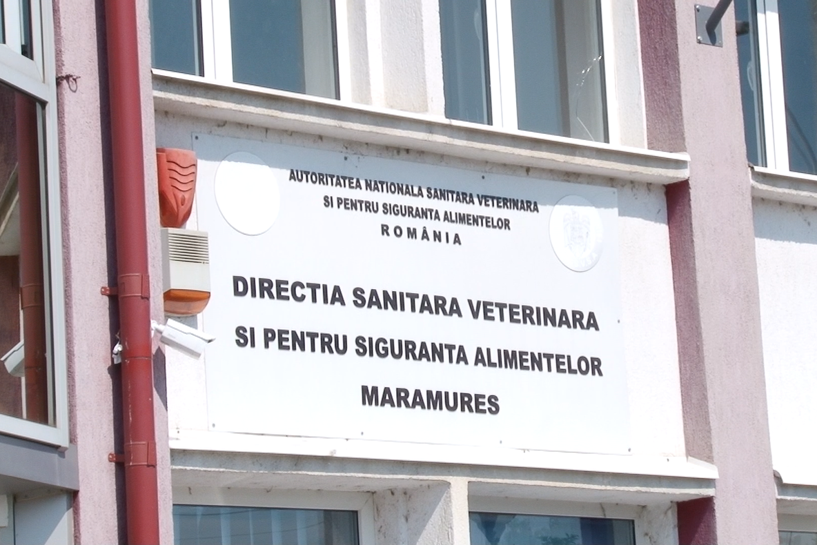 Recomandări pentru evitarea apariţiei toxiinfecţiilor alimentare în perioadele cu temperaturi ridicate