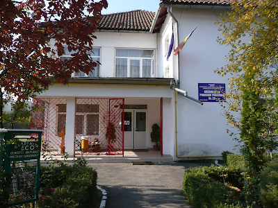 Grădiniţe deschise pe timpul verii