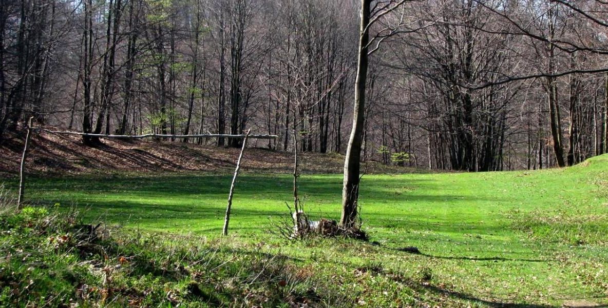 Tabără pentru copii la Cavnic