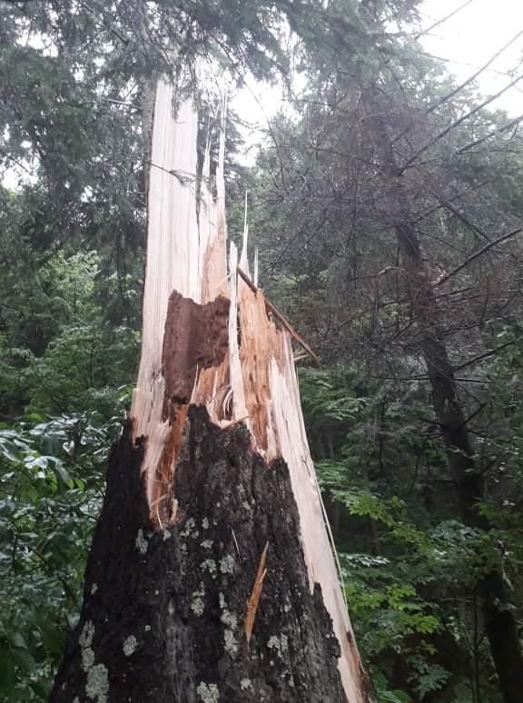 Reportaj: Legenda lui Pintea Viteazul, haiducul legendar al Maramureșului