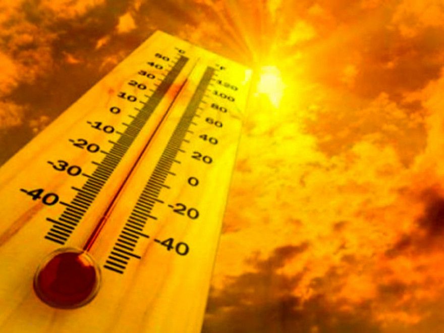 Amenzi drastice pentru cei care nu respectă legea pe timp de caniculă