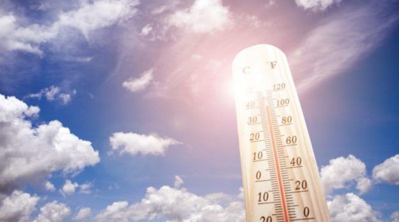 CĂLDURĂ MARE: Indicele temperatură-umezeală a atins pragul critic de 80 unități în municipiul Baia Mare