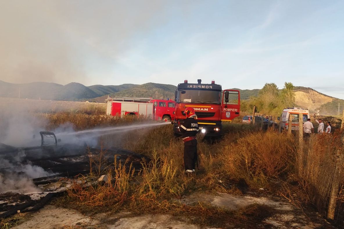 Au ars trei adăposturi de animale în Seini