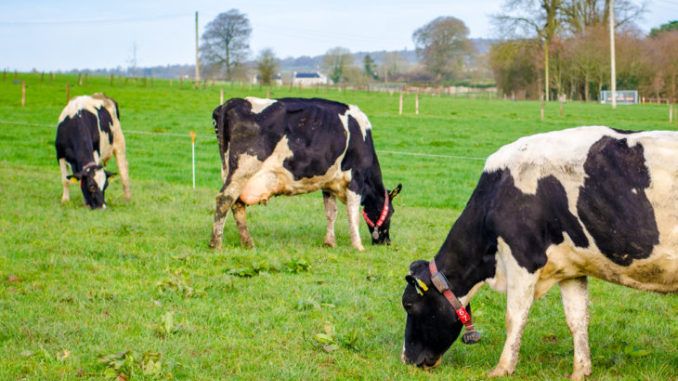 Se fac noi plăţi prin APIA Maramureş