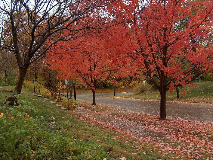 Se răcește vremea în Maramureș