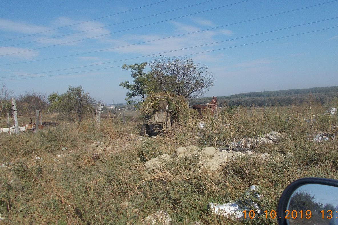 Colegiul Național ”Dragoș Vodă”, 100 de ani de excelență în educație