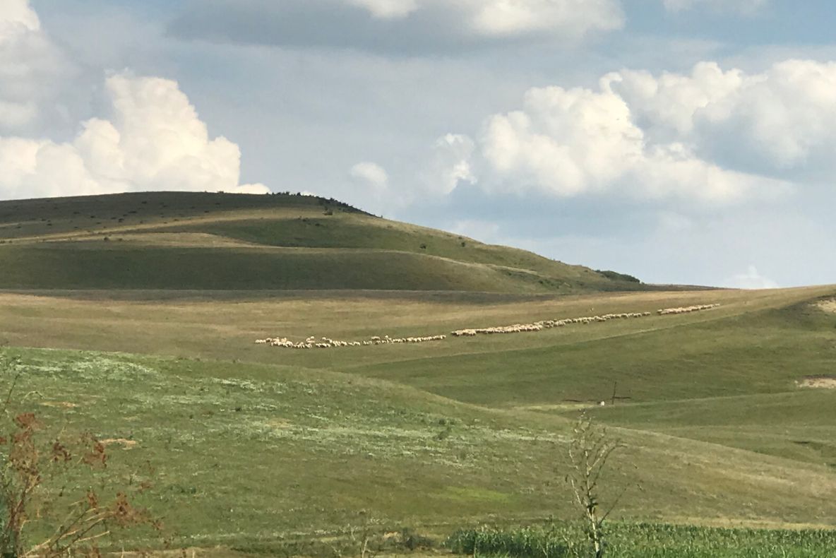 Fermierii își primesc banii de la APIA