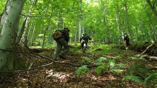 URMARE A EVENIMENTELOR TRAGICE: Regia Nationala a Padurilor Romsilva si Societatea Progresul Silvic vor pune bazele unui fond de solidaritate destinat corpului silvic