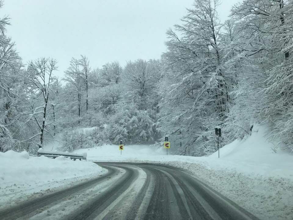 În zona montană înaltă, la altitudini de peste 1200 de metri, a nins