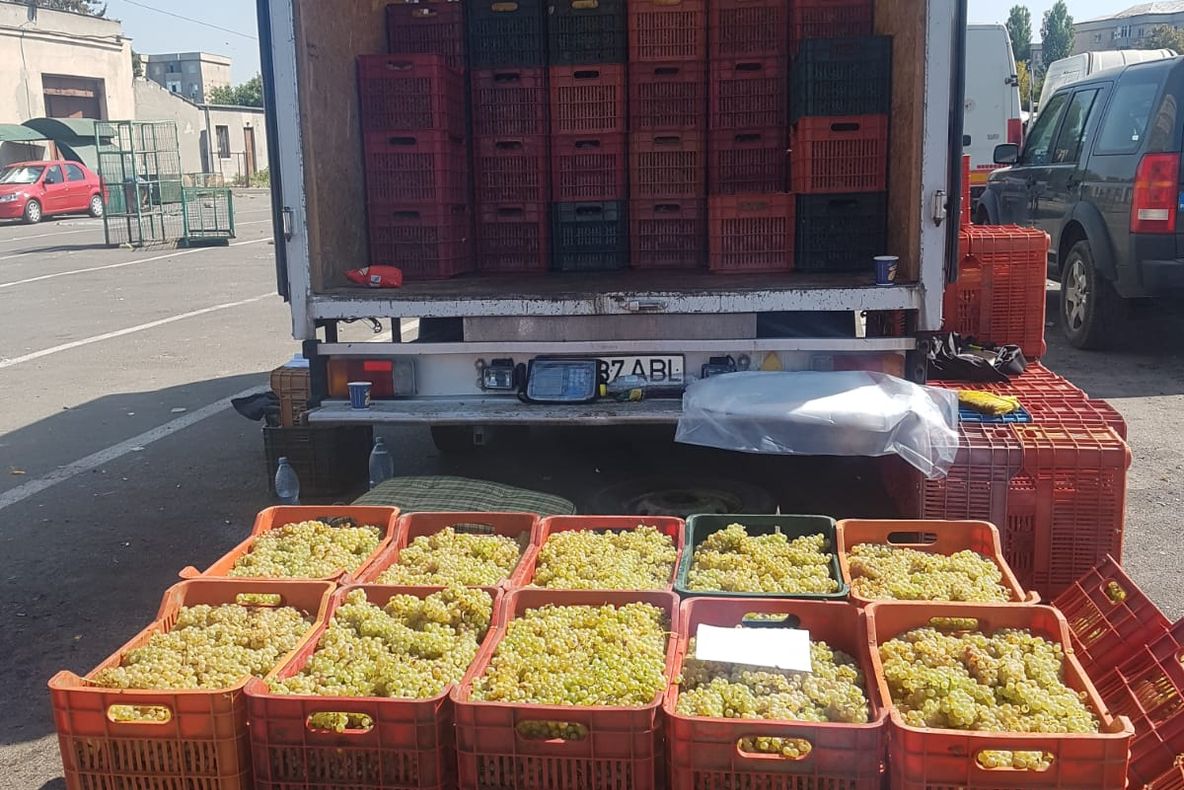 Struguri confiscaţi de poliţişti