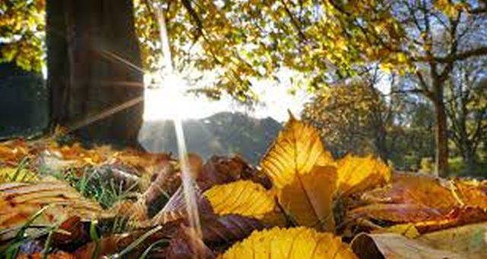 Jumatatea lunii octombrie aduce zile cu temperaturi ridicate