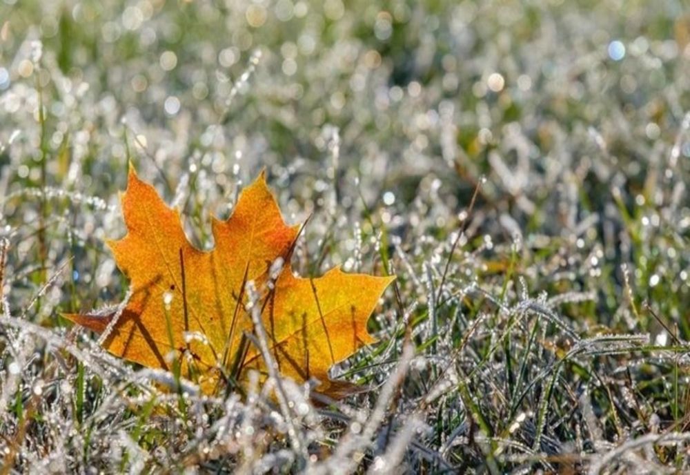 Cum va fi vremea până pe 30 decembrie