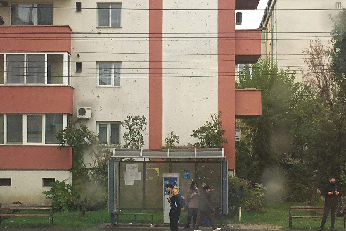 Grevă la Urbis! Oamenii așteaptă în stații fără să știe ce se întâmplă