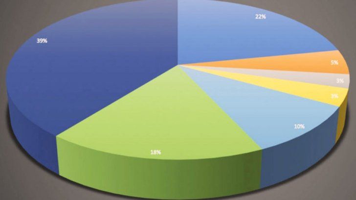 Exit poll - Rezultate alegeri 2019, record in diaspora