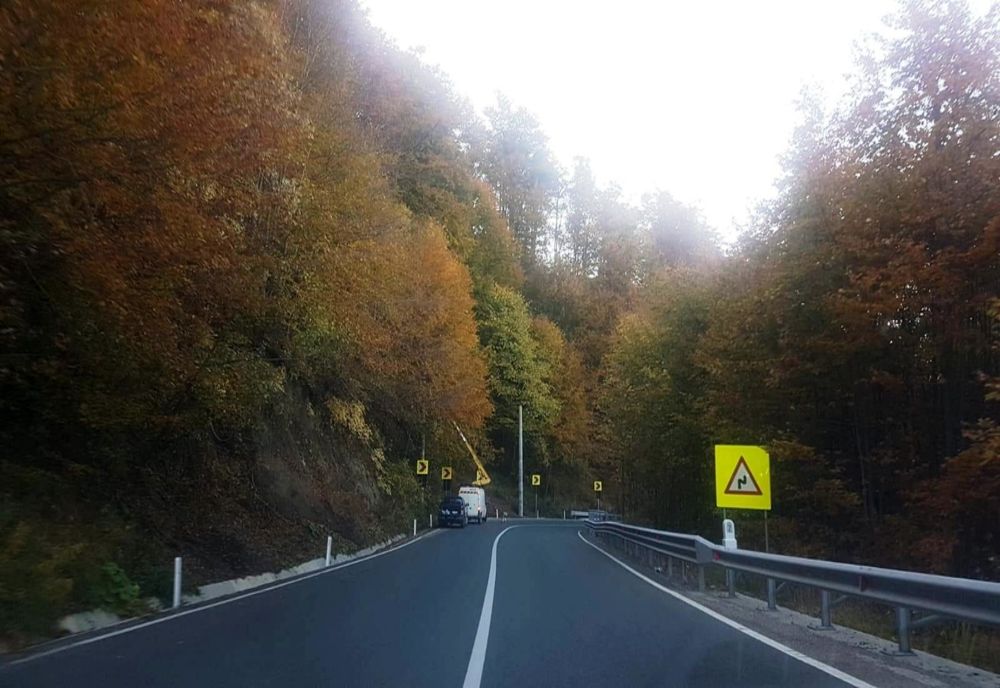 Acțiune de tăiere a arborilor marcați care pot pune în pericol desfășurarea circulației rutiere în Pasul Gutâi