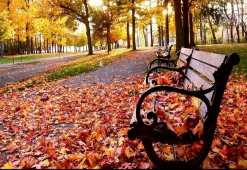 Toamnă cu vreme neobișnuit de caldă