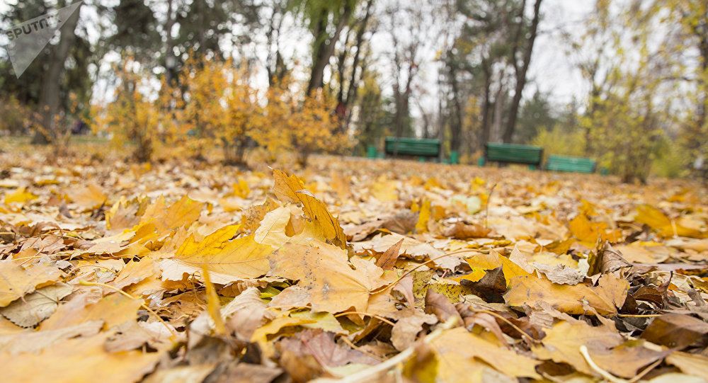 Cum va fi vremea astăzi în Maramureș