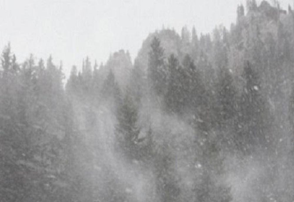 Ninsori așteptate astăzi în Maramureș