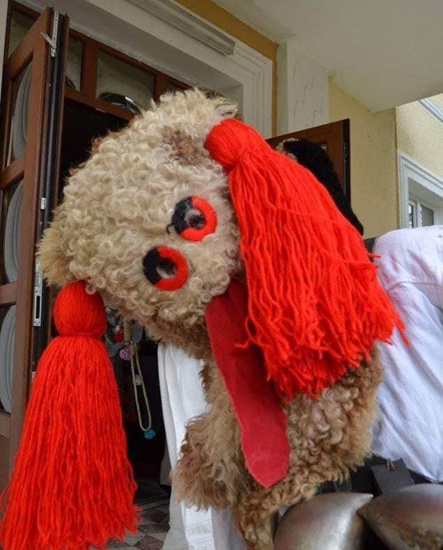 Parada brondoșilor, obiceiul din Maramureș care atrage sute de turiști