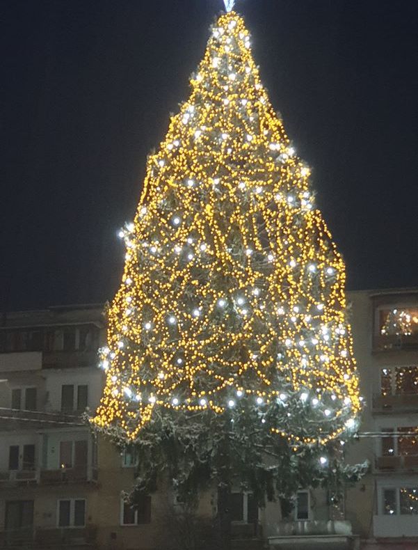 Cel mai mare brad natural împodobit din țară se află în Maramureș