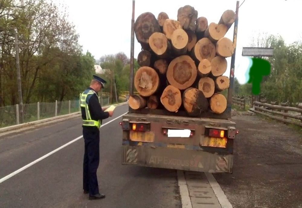Hoț de lemne din Maramureș, prins la furat în județul Satu Mare