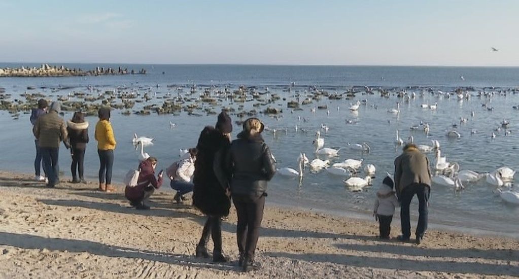 Cum puteți proteja instalațiile de apă împotriva înghețului