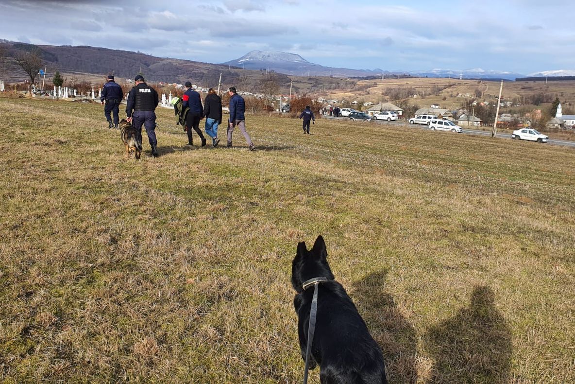 Minori identificaţi la scurt timp după sesizarea dispariţiei