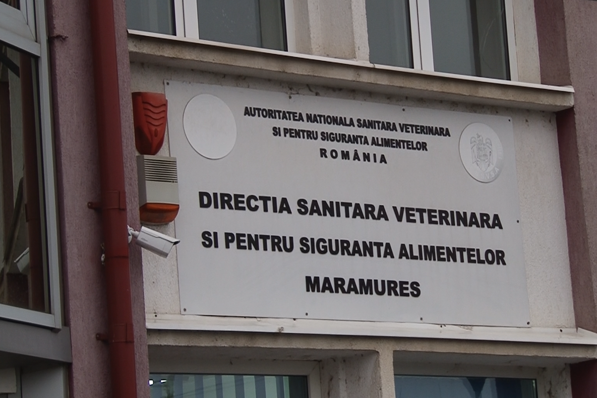 Recomandări pentru protejarea animalelor în perioadele cu temperaturi foarte scăzute, vânt puternic şi căderi masive de zăpadă