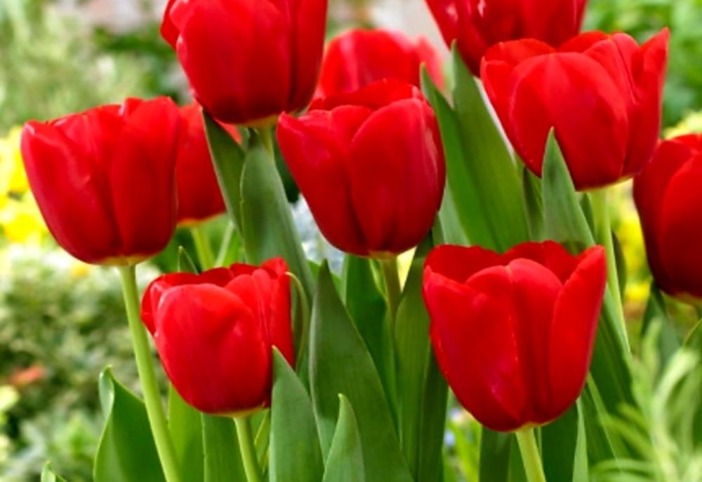 Cum se va schimba vremea în săptămânile ce urmează