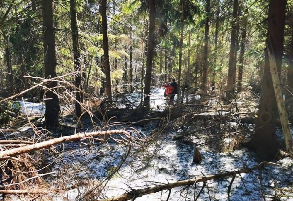 Lucrări de întreținere a traseelor turistice din județ efectuate de Serviciul Public Județean Salvamont Maramureș