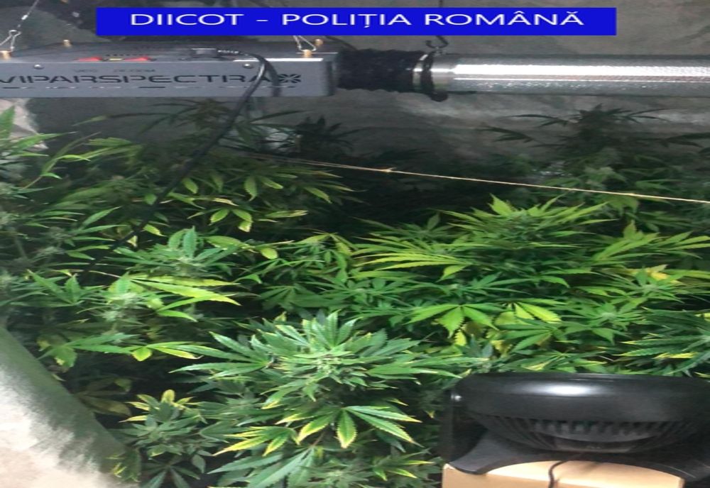 Lucrător al ITPF Sighetu Marmației, cercetat de DIICOT