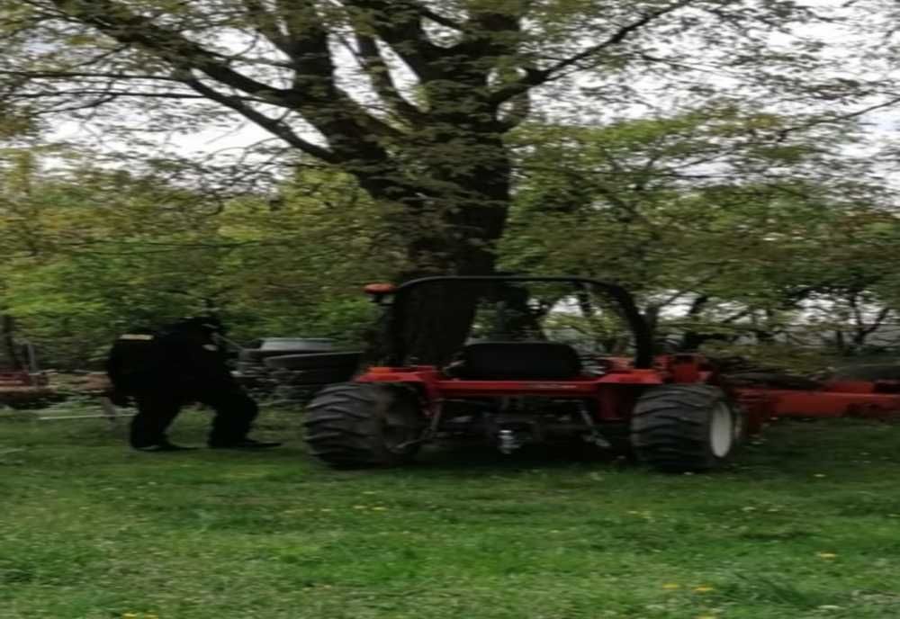 ABUZ DE ÎNCREDERE: Percheziții pentru recuperarea unui utilaj agricol în valoare de 6500 de euro