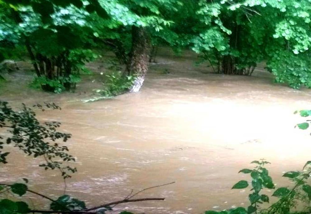 Ploile torențiale de ieri au făcut din nou prăpăd în Maramureș