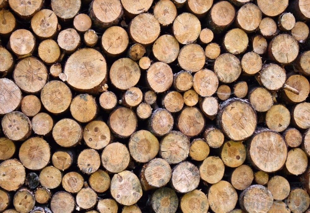 Circa 130 mc de material lemnos, confiscați de polițiști