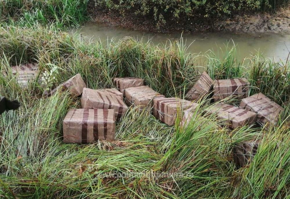 Aproximativ 10.500 de pachete de țigări, confiscate de polițiștii de frontieră maramureșeni! O femeie din Sighetu Marmației, cercetată pentru contrabandă